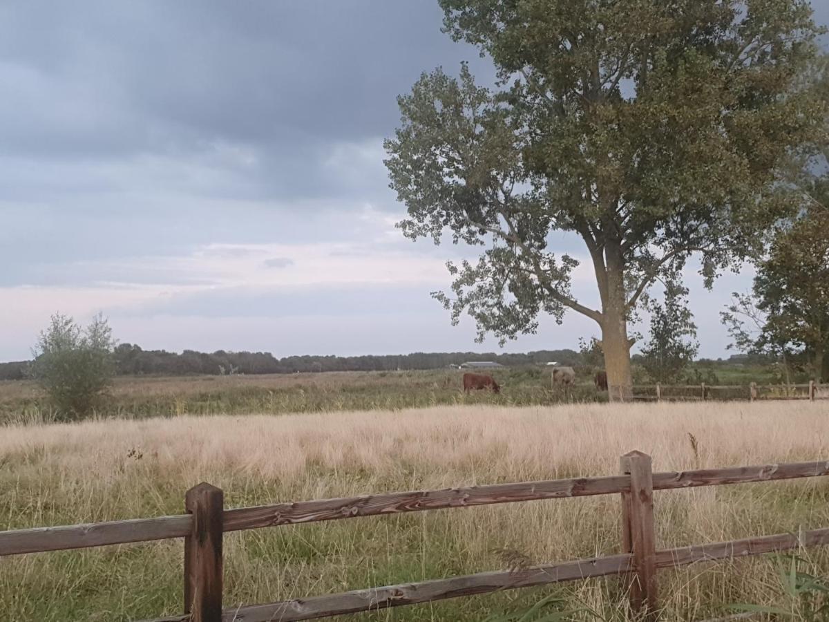 Cottage Geestmerambacht, Een Nieuw Vrijstaande Sfeervol En Landelijk Gelegen Vakantiewoning Koedijk Extérieur photo